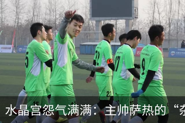 水晶宫怨气满满：主帅萨热的“杂音”之旅